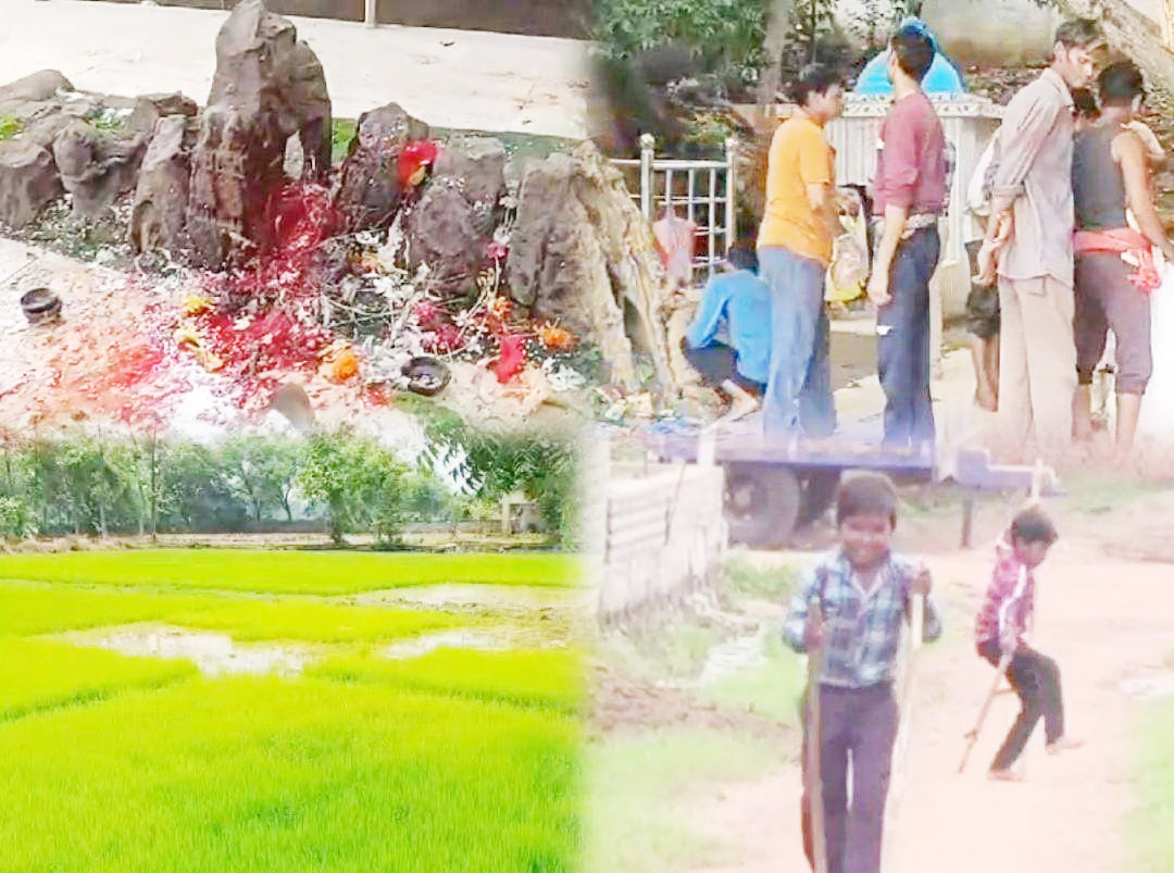 हर्षोल्लास के साथ मनी हरेली