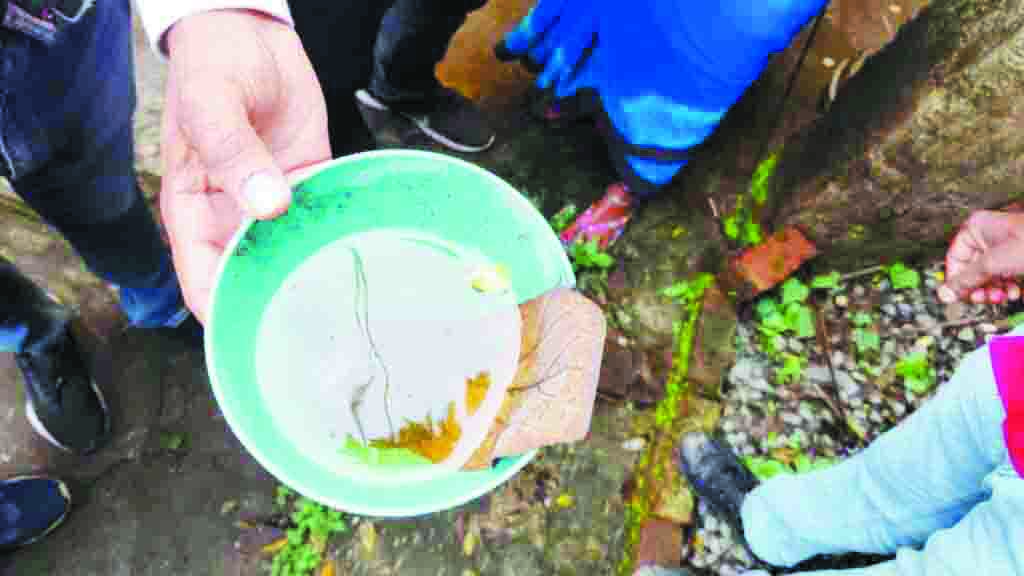  दो वार्डों के 15-20 घरों में मिले डेंगू के लार्वा