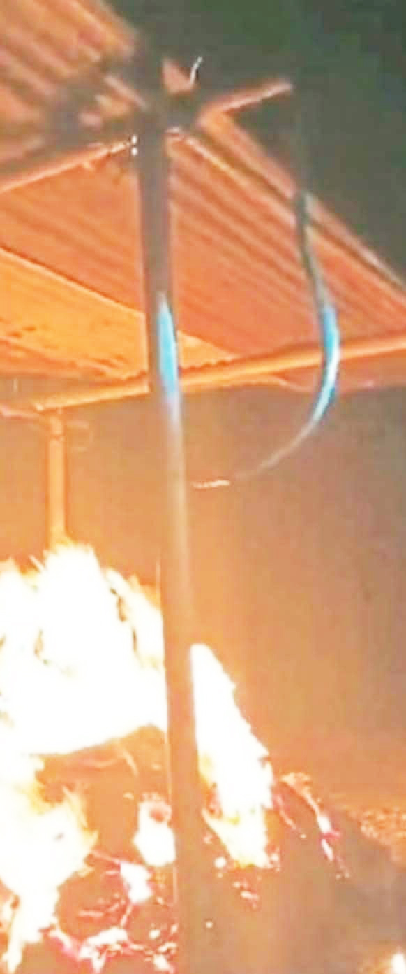 जलती चिता में गिरा सांप, लोग डरकर भागे  पन्नी लगाकर करना पड़ा अंतिम संस्कार