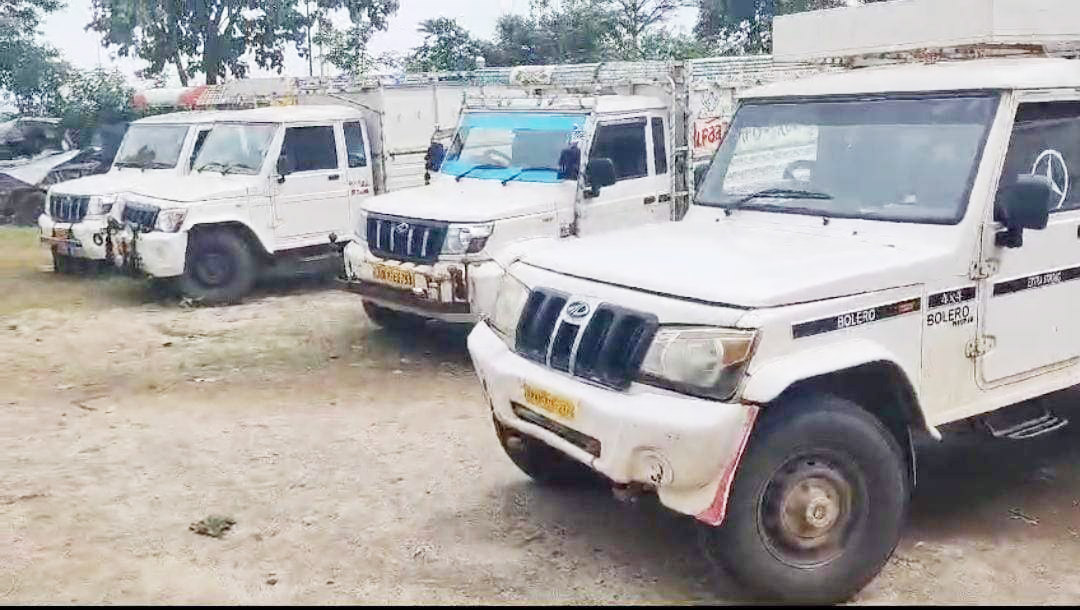 गौ तस्करी के 36 प्रकरणों में 43 आरोपी गिरफ्तार