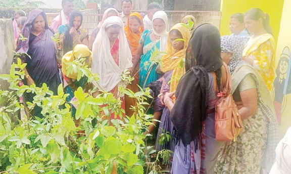 महतारी वंदन हितग्राहियों को बांटे पौधे