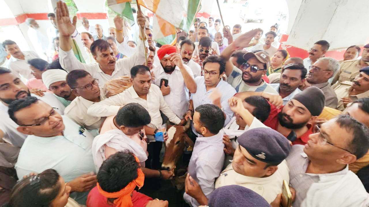 घुमंतू मवेशियों को लेकर पहुंचे कांग्रेसियों का सरकारी कार्यालयों में प्रदर्शन घुमंतू मवेशियों को लेकर पहुंचे कांग्रेसियों का सरकारी कार्यालयों में प्रदर्शन