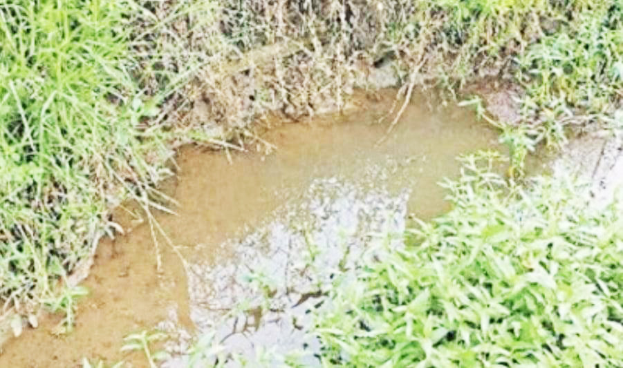 दूषित पानी से फैला डायरिया, 13 का इलाज शुरू 