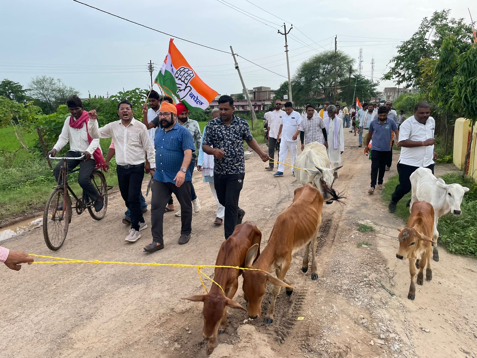 कांग्रेस का गौ सत्याग्रह