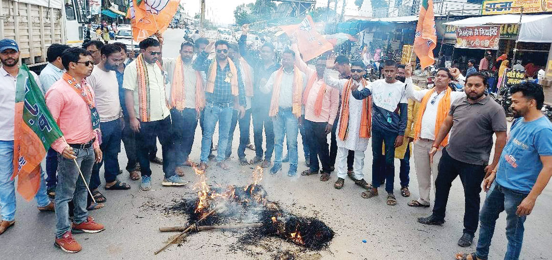 गौ सत्याग्रह आंदोलन में गौवंश से क्रूरता करने का आरोप गौ सत्याग्रह आंदोलन में गौवंश से क्रूरता करने का आरोप