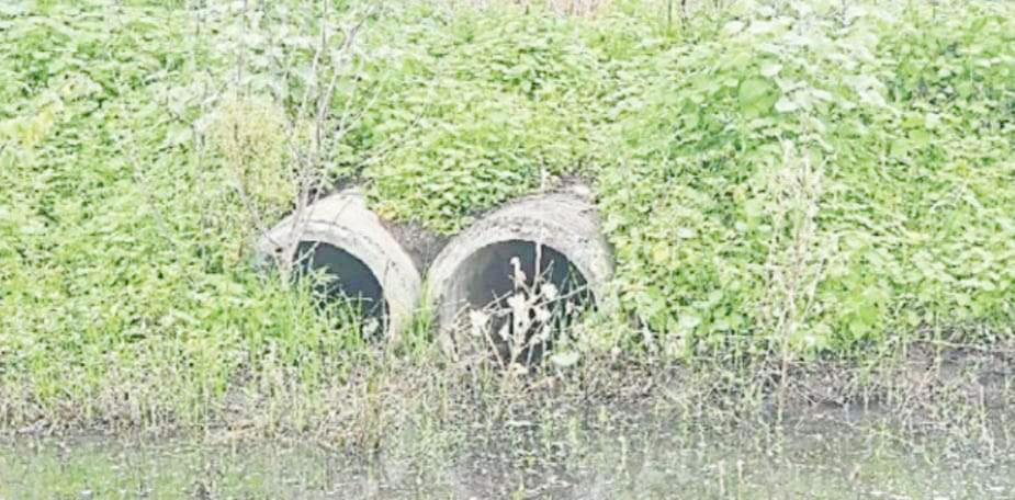 पोल्ट्री फार्म प्रबंधन दामन बचाने किसानों को दे रहा क्षतिपूर्ति