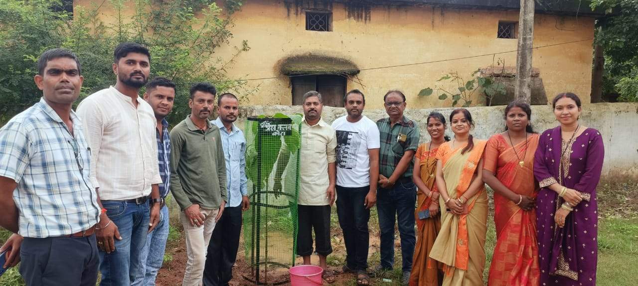 गंज स्कूल में पौधरोपण