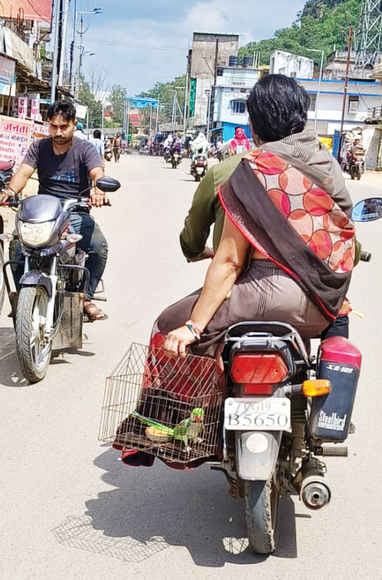 वन विभाग कार्यालय पहुंच रहे पक्षीपालक वन विभाग कार्यालय पहुंच रहे पक्षीपालक