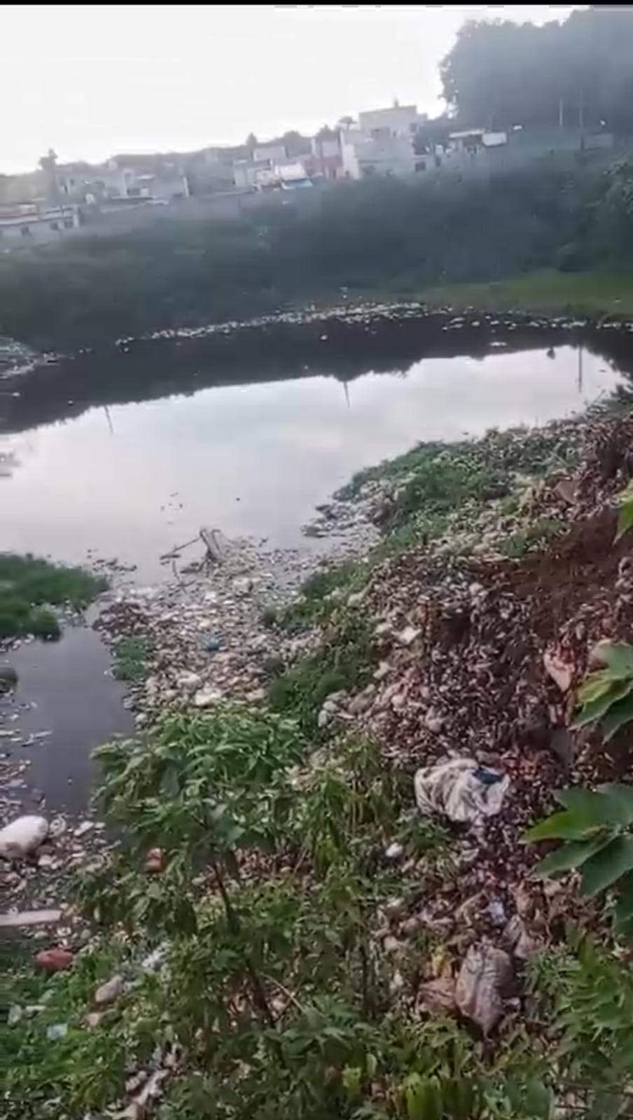 असहनीय दुर्गंध, गंदगी से वार्डवासी हलाकान, लोग हो बीमारी के शिकार-पब्लिक वॉइस