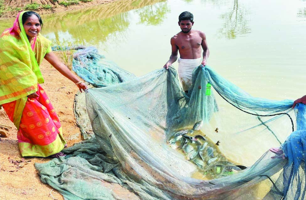 मछलीपालन कर रेखा के आय में हुई वृद्धि मछलीपालन कर रेखा के आय में हुई वृद्धि
