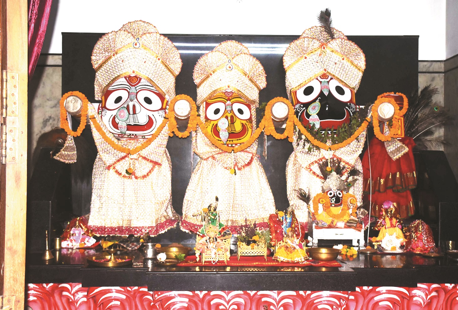 ओडिय़ा समाज मना रहा नुआखाई, जगन्नाथ जी की विशेष आरती ओडिय़ा समाज मना रहा नुआखाई, जगन्नाथ जी की विशेष आरती