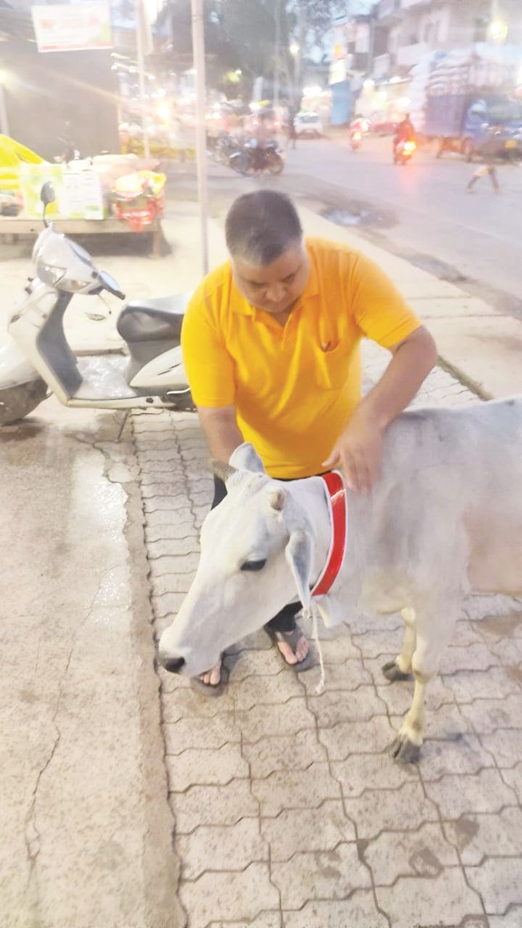 गौ सेवा में समर्पित एक मुहिम, विधायक राजेश अग्रवाल दे रहे बढ़ावा