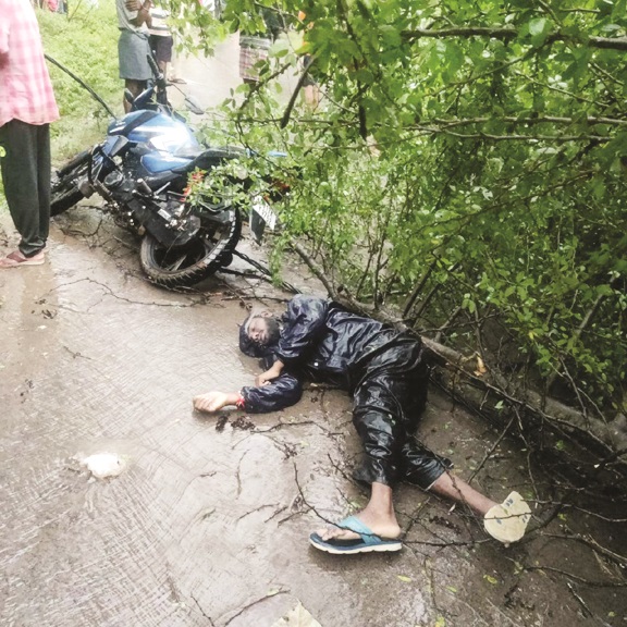 युवक पर गिरा पेड़, मौत युवक पर गिरा पेड़, मौत