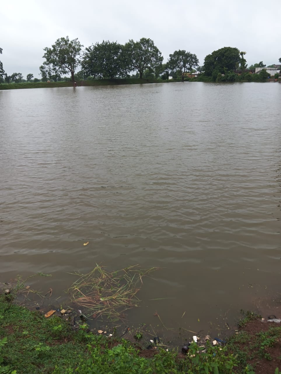 झमाझम बारिश: तालाब-खेत लबालब, हो सकता है धान की फसल को नुकसान झमाझम बारिश: तालाब-खेत लबालब, हो सकता है धान की फसल को नुकसान
