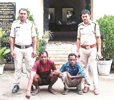 मवेशी तस्करी, दो गिरफ्तार, पुलिस ने 24 मवेशियों को कराया मुक्त मवेशी तस्करी, दो गिरफ्तार, पुलिस ने 24 मवेशियों को कराया मुक्त
