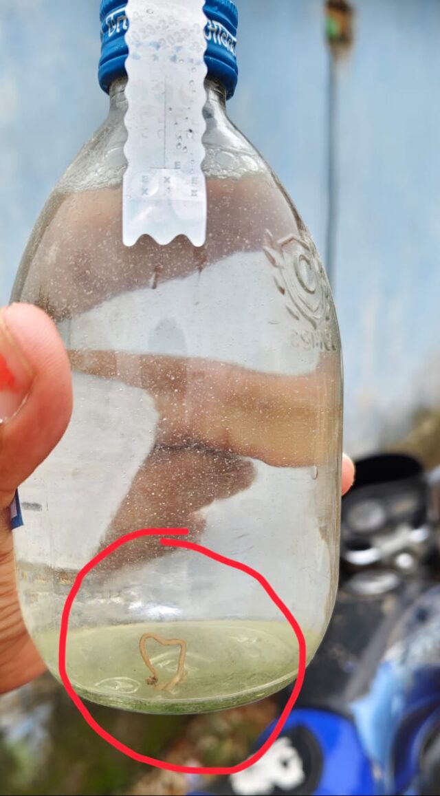 शराब की बोतल में केंचुआ 