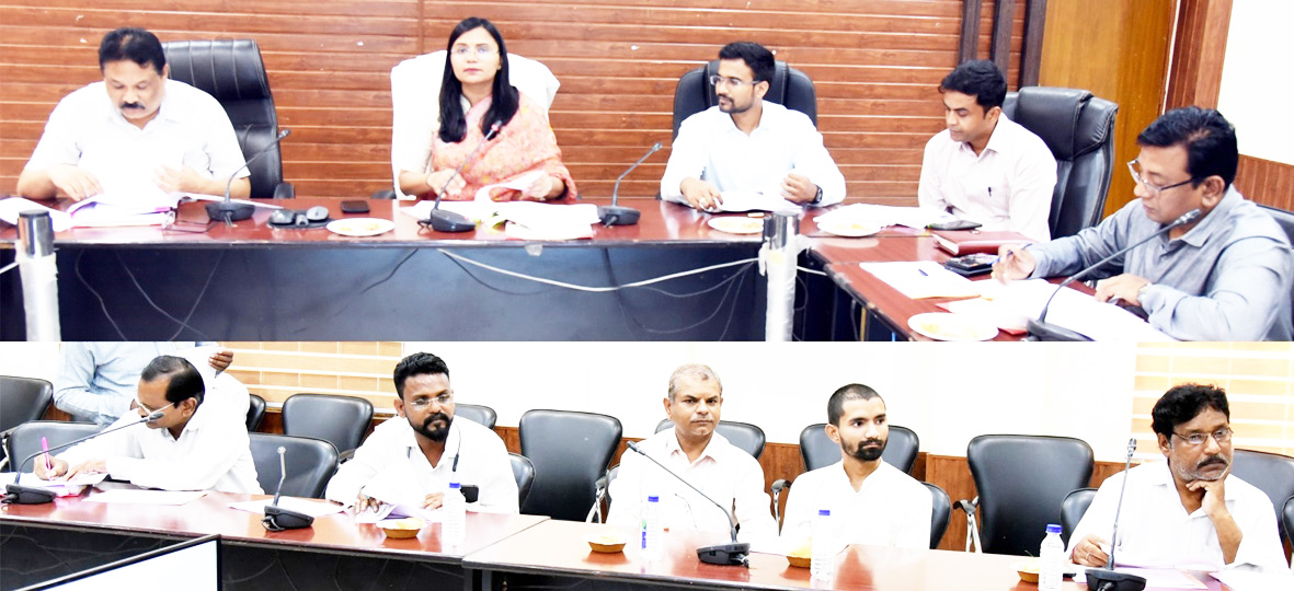 कलेक्टर ने राजनीतिक दलों की ली