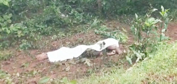 हाथी ने ग्रामीण को कुचला, मौत हाथी ने ग्रामीण को कुचला, मौत
