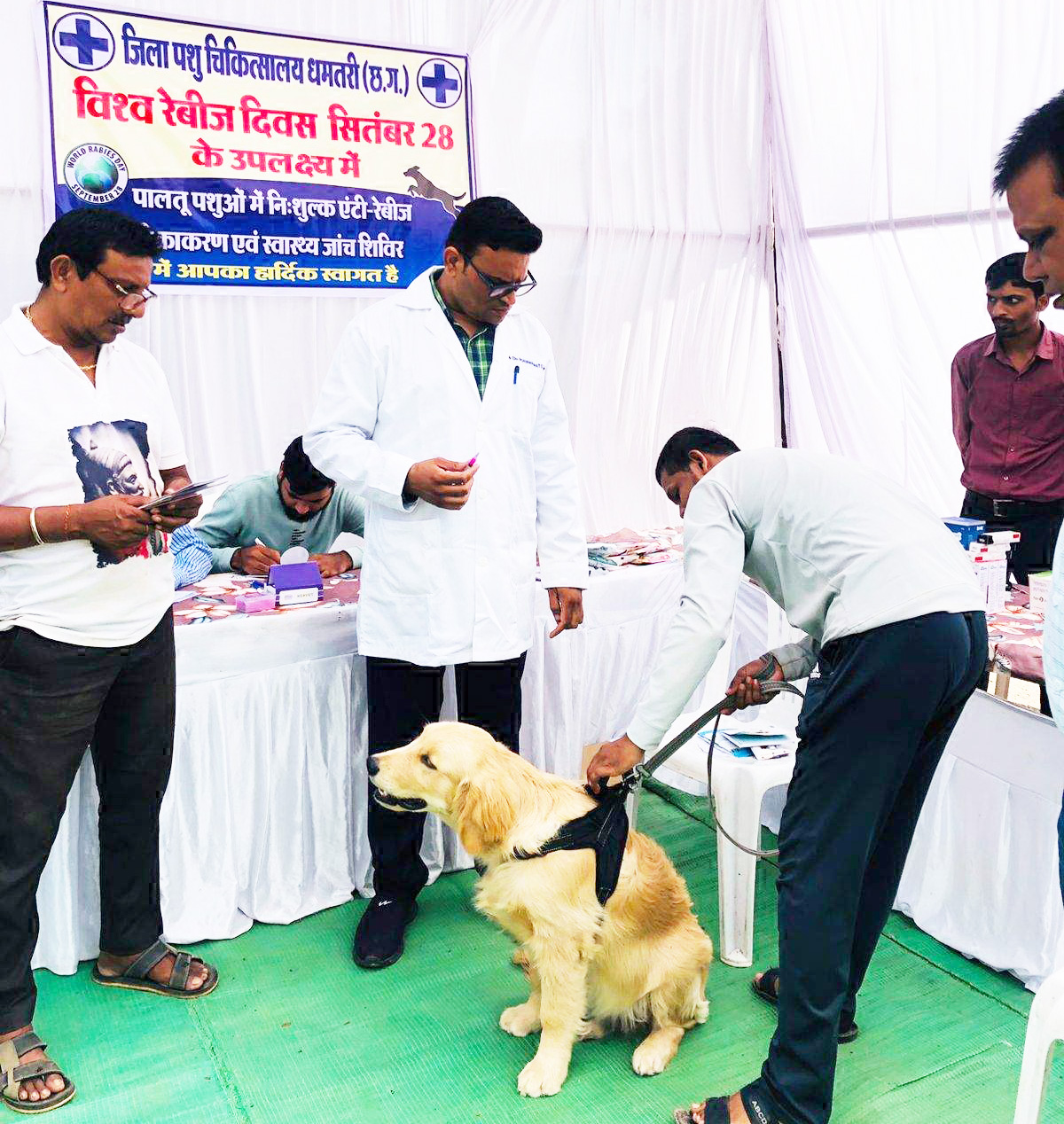 145 पशुओं को लगाया टीकाकरण, जागरूकता सप्ताह मनाने सीएमएचओ ने रवाना किया प्रचार रथ