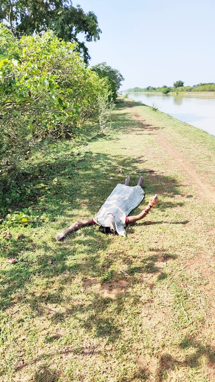 नहर में बहती मिली महिला की लाश