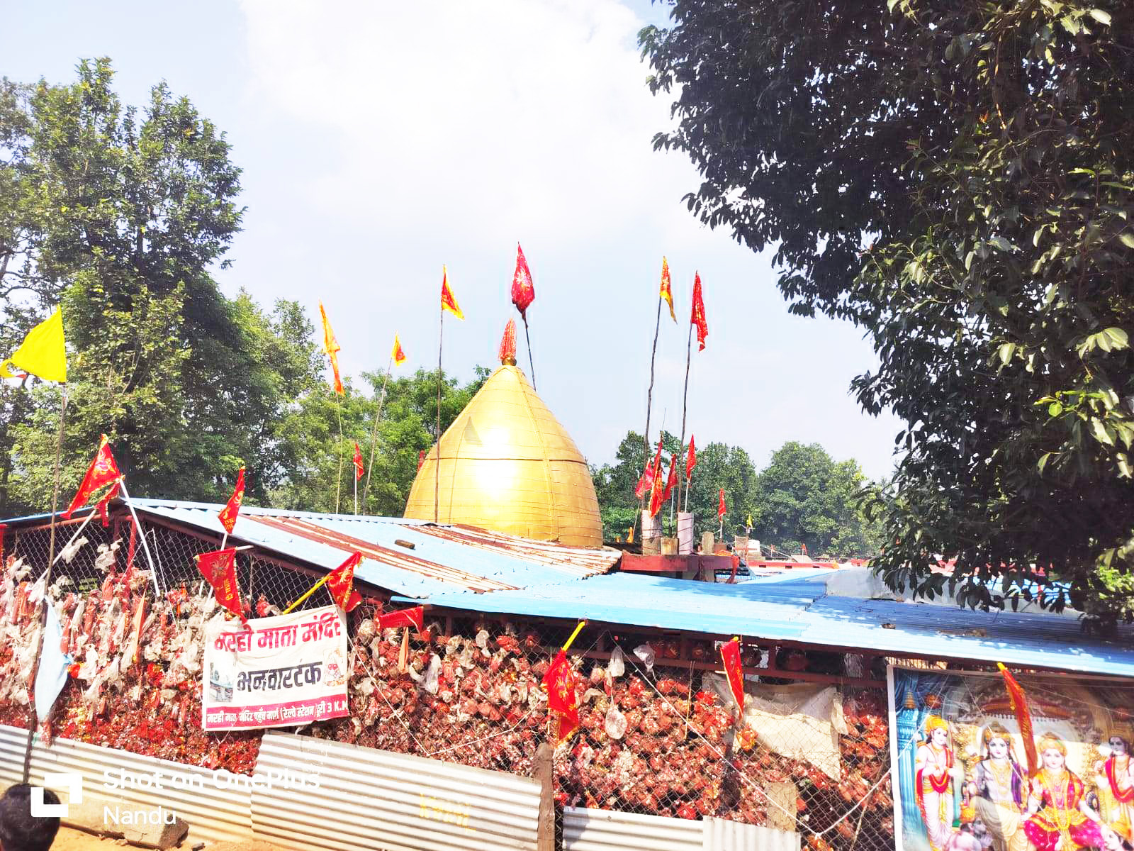 आस्था की ज्योति कलश से जगमगाया मरही माता मंदिर आस्था की ज्योति कलश से जगमगाया मरही माता मंदिर