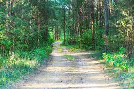 बच्चे की मौत के बाद सामने आया रेत चोरी का मामला