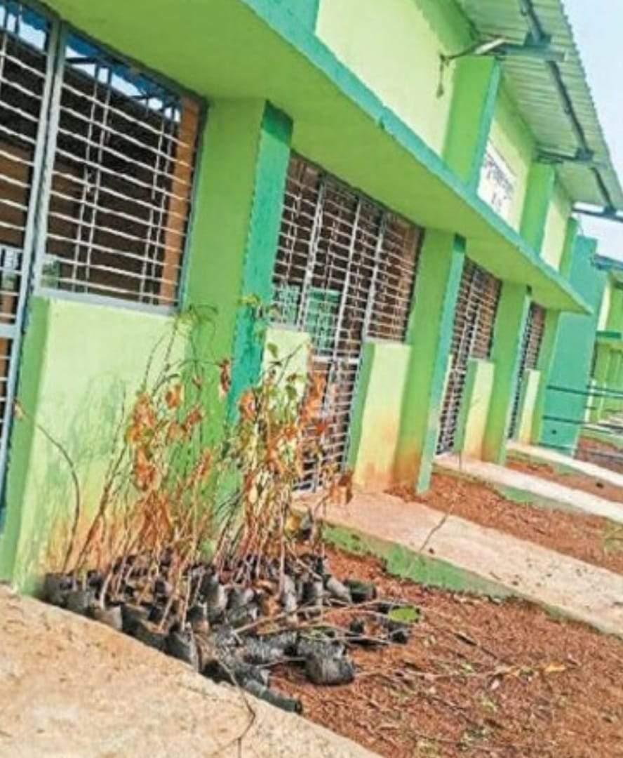 सीएम के इंतजार में पौधे सूखे, लोकार्पण बोर्ड भी खाली 