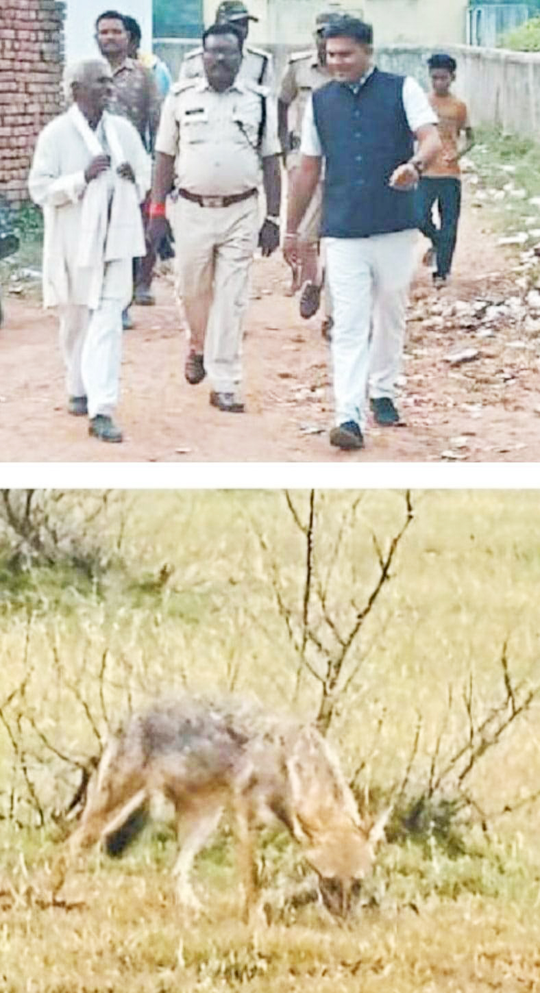 सियार का दर्शन कर बैरंग  लौटा वन विभाग