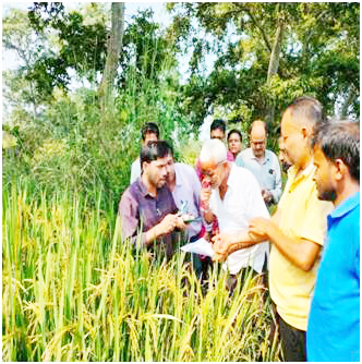 कृषि अमले ने किया फसल का मुआयना