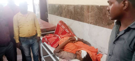 हाथी ने कुचला, ग्रामीण जख्मी