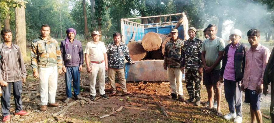 धमनी जंगल में लकड़ी सहित पिकअप जब्त