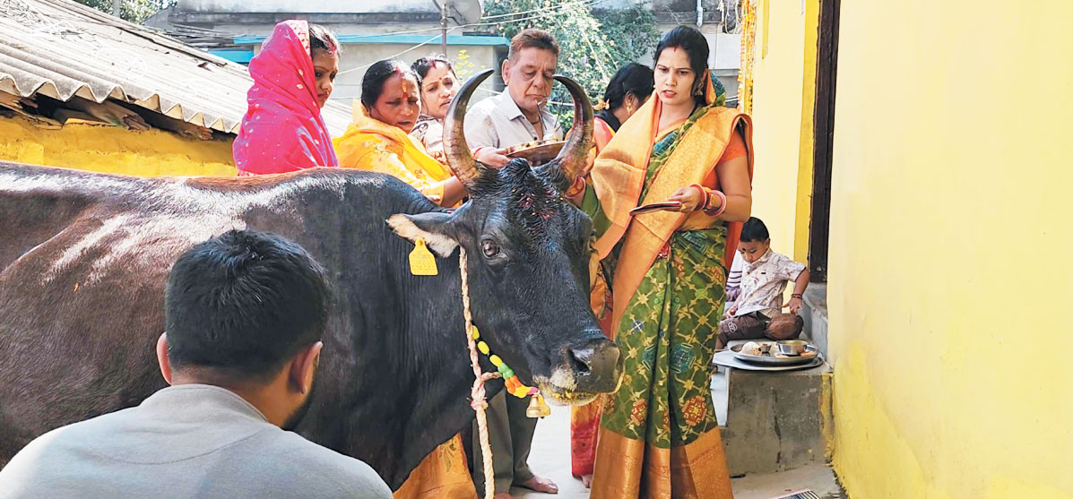 दीपोत्सव की धूम, 2 दिन मना लक्ष्मी पूजन, गोवर्धन पर्व का उल्लास