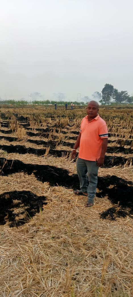 खरीफ की धान कटाई के साथ शुरू हुआ पराली जलाना, एक किसान पर कार्रवाई