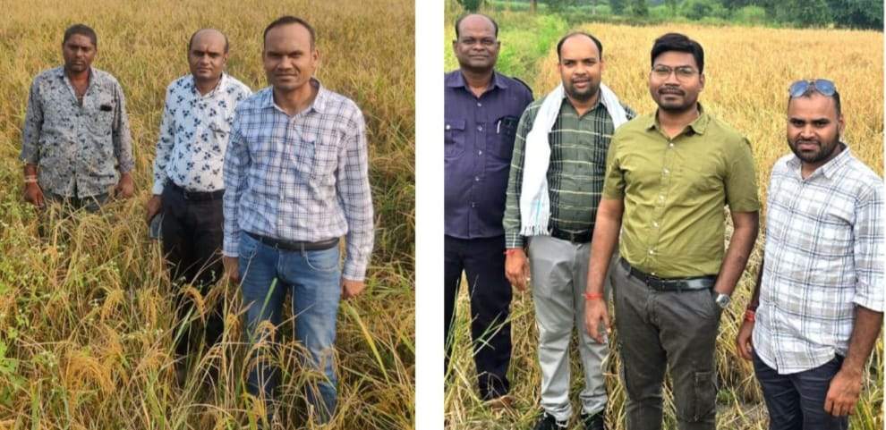 अफसर कर रहे गिरदावरी सत्यापन का काम अफसर कर रहे गिरदावरी सत्यापन का काम