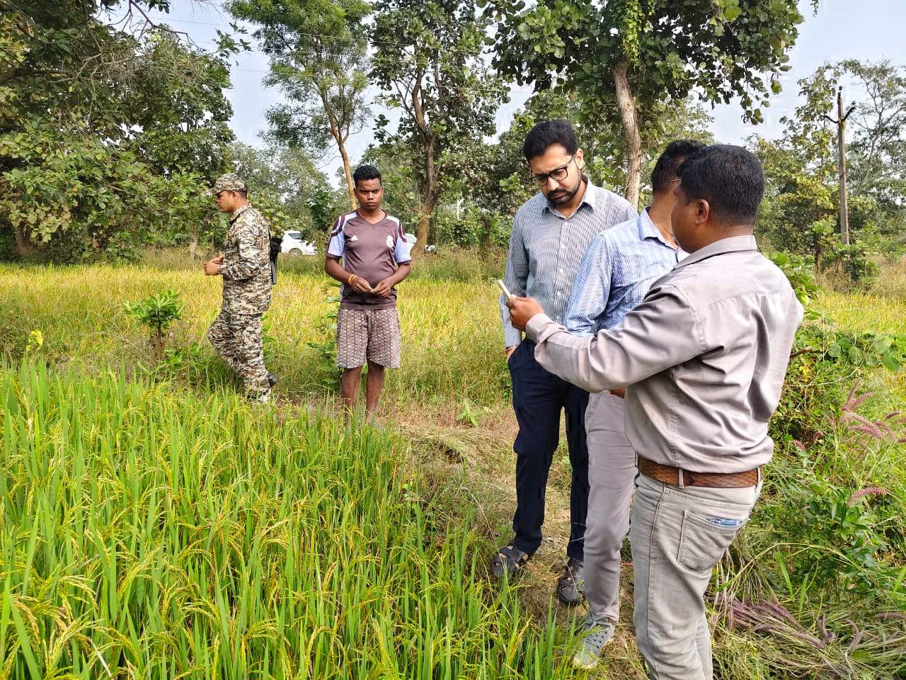 धान उपार्जन के लिए खसरा सत्यापन करते खेतों में उतरे कलेक्टर धान उपार्जन के लिए खसरा सत्यापन करते खेतों में उतरे कलेक्टर