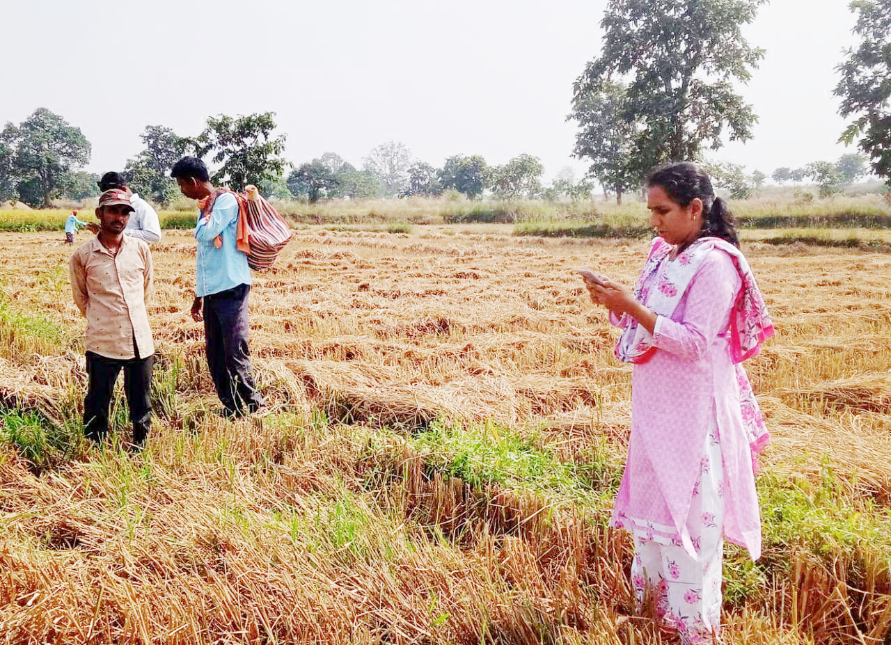 खेतों में पहुंचकर कलेक्टर ने गिरदावरी की जांच की