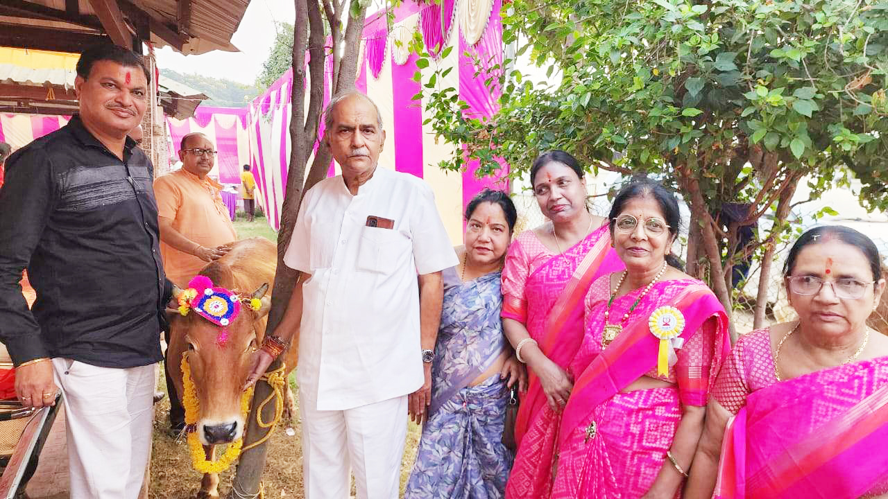 पिंजरापोल में मनी गोपाष्टमी पिंजरापोल में मनी गोपाष्टमी