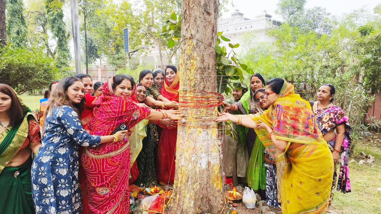 पूजा-अर्चना कर मनाई आंवला नवमी महिलाओं में दिखा उत्साह पूजा-अर्चना कर मनाई आंवला नवमी महिलाओं में दिखा उत्साह