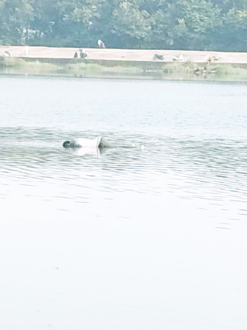 शिवनाथ में मिला शव शिवनाथ में मिला शव