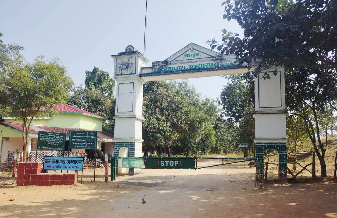 प्रकृति प्रेमियों के लिए पसंदीदा स्थान बना बारनवापारा अभ्यारण्य