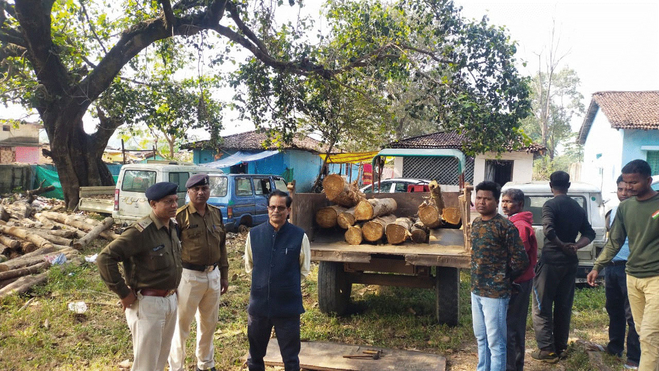 सागौन तस्करी करते आरोपी गिरफ्तार सागौन तस्करी करते आरोपी गिरफ्तार