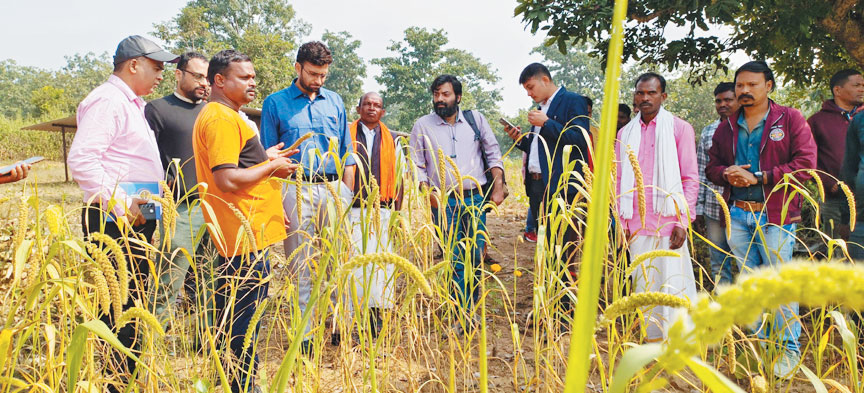 किसान लगाएं मोटे अनाज-कलेक्टर 