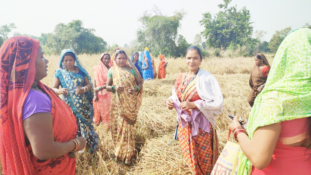स्वास्थ्य विभाग की पहल: धान कटाई कर रहे किसानों को आंखों की बीमारियों से बचाने बांट रहे चश्मे