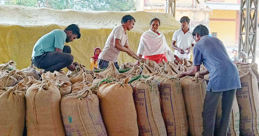 पिता के निधन के बाद बेटी ने मां के साथ संभाली घर-खेती की जिम्मेदारी