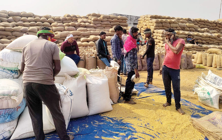 किसान के भेस में कलेक्टर पहुंचे पेटला धान उपार्जन केंद्र, समिति प्रबंधकों को चेतावनी
