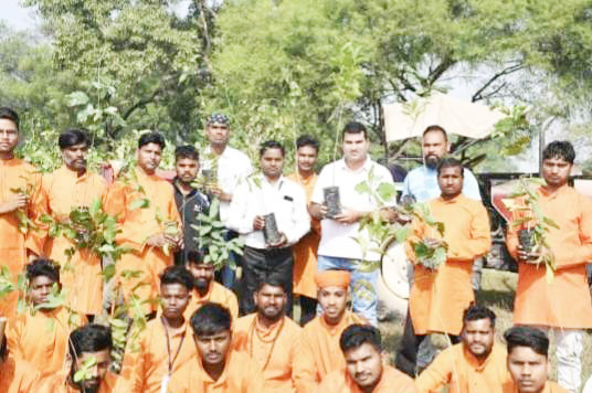 एक पेड़ मां के नाम