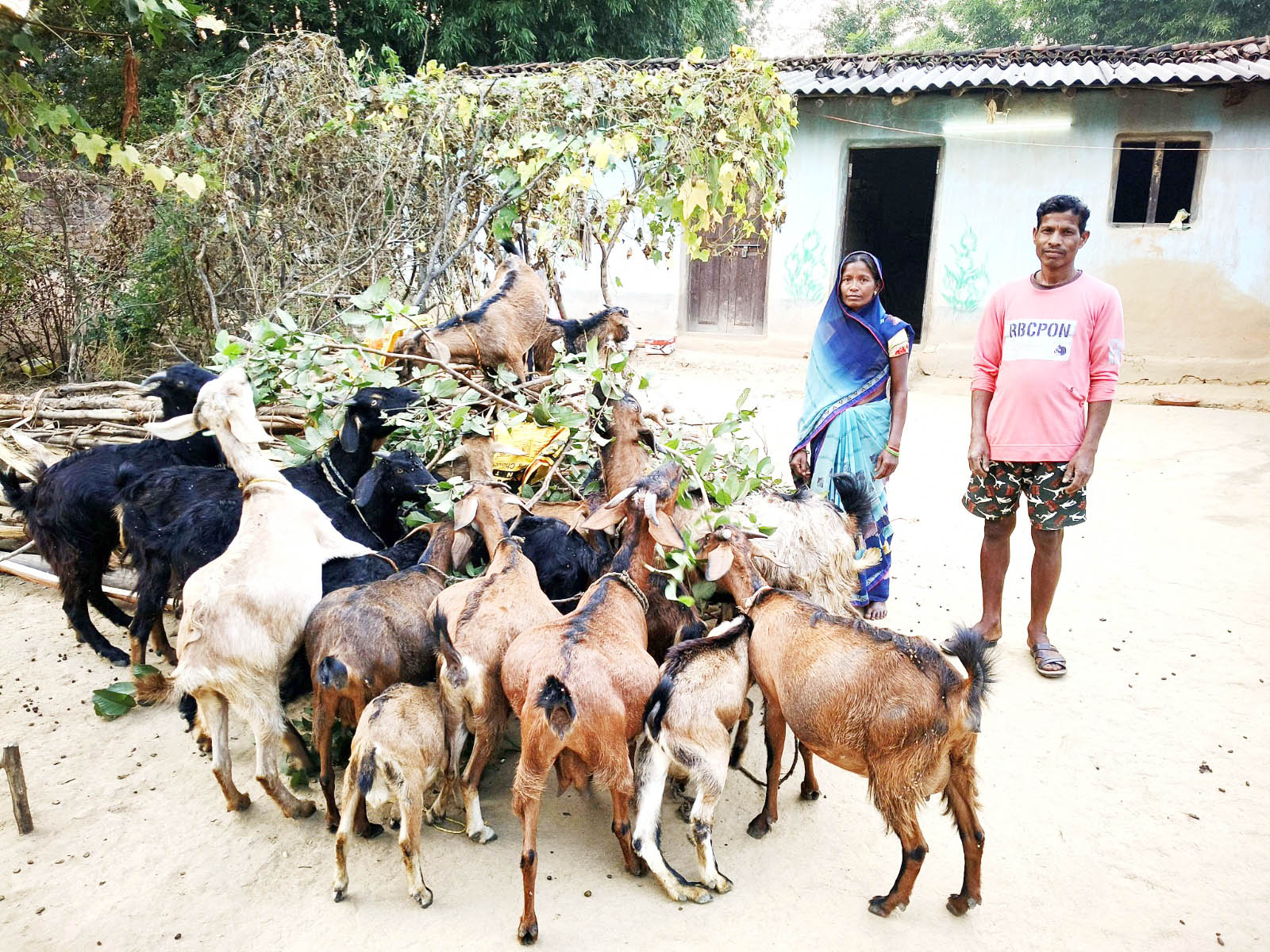 सबिता दीदी ग्रामीण उद्यमिता की बनी मिसाल