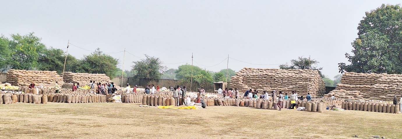 7896 किसानों ने 35271 मि. टन धान बेचा