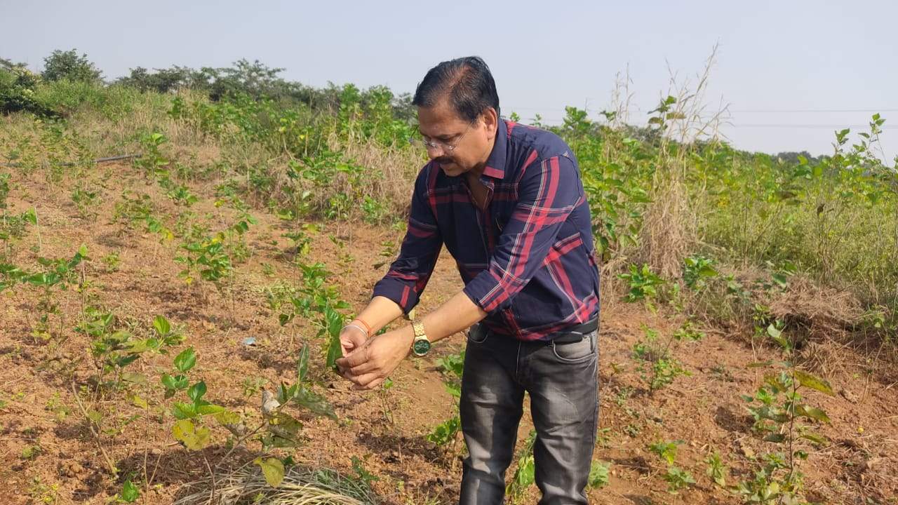 रेशम उत्पादन के लिए 5 लाख अनुदान रेशम उत्पादन के लिए 5 लाख अनुदान