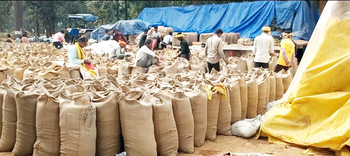 धान खरीदी शुरू, अब तक  धान का उठाव नहीं 